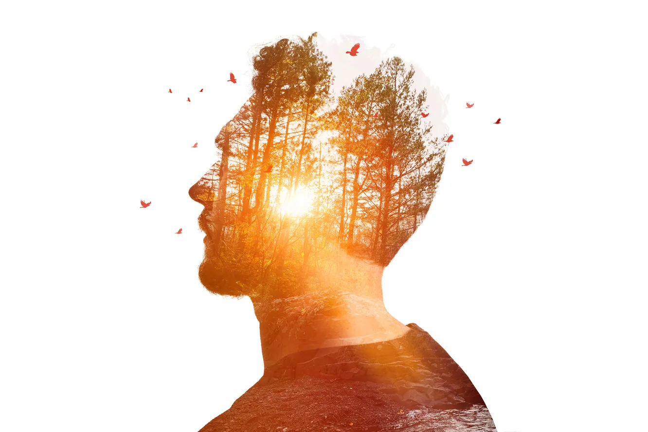 Featured Image